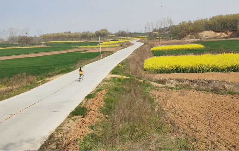 駐馬店市驛城區(qū)2017年農村公路、橋梁項目2標段
