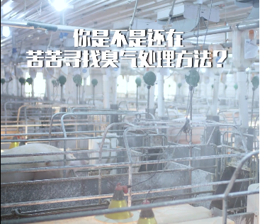 養(yǎng)殖場(chǎng)行業(yè)問題